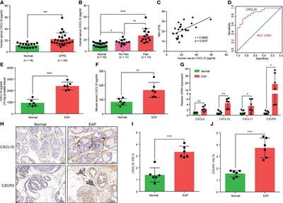 Pathogenic Roles of CXCL10 in Experimental Autoimmune Prostatitis by Modulating Macrophage Chemotaxis and Cytokine Secretion